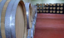 Imagen 2 de la bodega Abadia la Arroyada