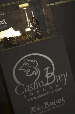 Imagen 1 de la bodega Adegas Castro Brey