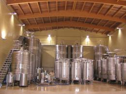 Imagen 2 de la bodega Adegas Tollodouro