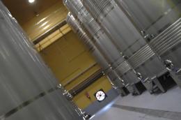 Imagen 1 de la bodega Agnusdei