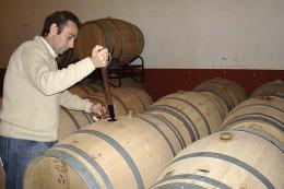 Imagen 1 de la bodega Aldonia