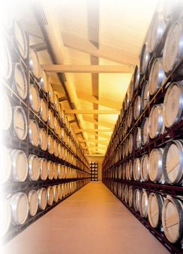 Imagen 2 de la bodega Altanza