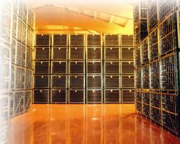 Imagen 3 de la bodega Altanza