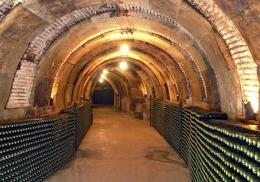 Imagen 2 de la bodega Am�zola de la Mora