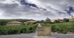 Imagen 3 de la bodega Am�zola de la Mora