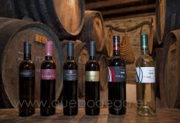 Imagen 5 de la bodega Antonio Muñoz Cabrera