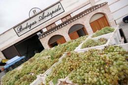 Imagen 2 de la bodega Ar�spide