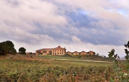 Imagen 4 de la bodega �ster