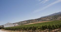 Imagen 10 de Bodega Morosanto, siguiendo en camino de Íberos, Romanos y Musulmanes.