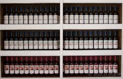 Imagen 6 de Bodega Morosanto, siguiendo en camino de Íberos, Romanos y Musulmanes.