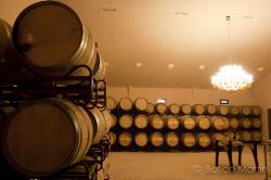 Imagen 7 de Bodega Morosanto, siguiendo en camino de Íberos, Romanos y Musulmanes.