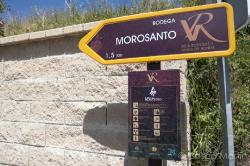 Imagen 8 de Bodega Morosanto, siguiendo en camino de Íberos, Romanos y Musulmanes.