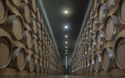 Imagen 5 de Bodegas Cepa 21 a�ade un Taller de Poda a su oferta de enoturismo