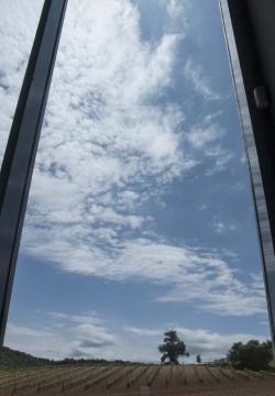 Imagen 6 de Bodegas Cepa 21 a�ade un Taller de Poda a su oferta de enoturismo