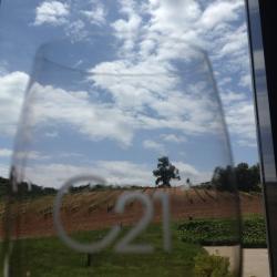 Imagen 7 de Bodegas Cepa 21 a�ade un Taller de Poda a su oferta de enoturismo