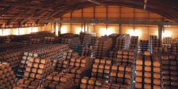 Imagen 1 de la bodega Bodegas Lan