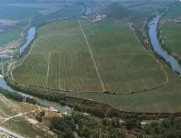 Imagen 2 de la bodega Bodegas Lan