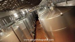 Imagen 3 de la bodega Bodegas Montalvo Wilmot