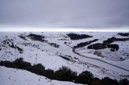 Imagen 4 de la bodega Bodegas y Vi�edos Conde de San Cristobal