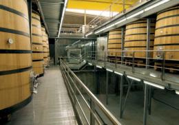 Imagen 3 de la bodega BUEZO, Vendimias Seleccionadas y Vinos de Guarda S.L.