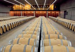 Imagen 4 de la bodega BUEZO, Vendimias Seleccionadas y Vinos de Guarda S.L.