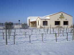 Imagen 1 de la bodega Casa Quemada