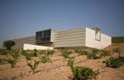 Imagen 7 de Casalobos, bodega joven de la mano de jovenes manos