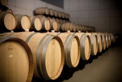 Imagen 9 de Casalobos, bodega joven de la mano de jovenes manos