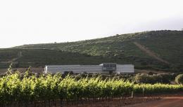 Imagen 1 de la bodega Casalobos