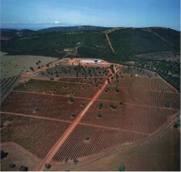 Imagen 2 de la bodega Casalobos