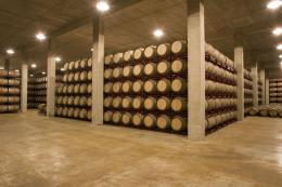 Imagen 3 de la bodega Cosecheros y Criadores