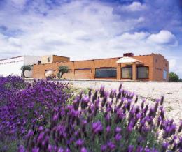 Imagen 1 de la bodega Cyan