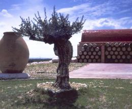 Imagen 2 de la bodega Cyan