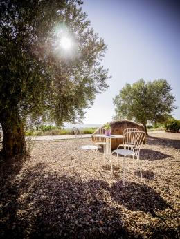 Imagen 5 de la bodega Cyan