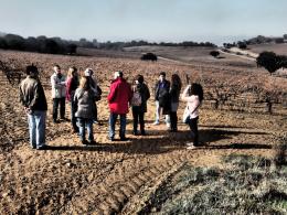 Imagen 7 de la bodega Cyan