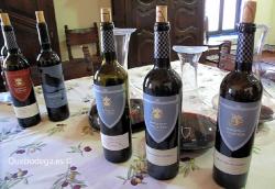 Imagen 5 de Descubriendo el interior de Bodegas Marqu�s de Valdueza