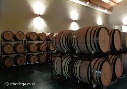Imagen 6 de Descubriendo el interior de Bodegas Marqu�s de Valdueza