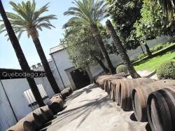 Imagen 5 de El tiempo se detiene en El Callejón de Alvear