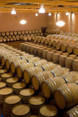 Imagen 2 de la bodega Emilio Moro