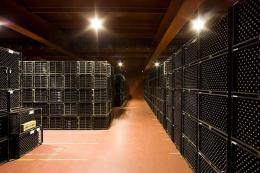 Imagen 4 de la bodega Emilio Moro