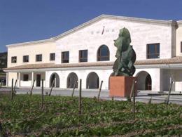 Imagen 3 de la bodega Emina