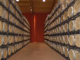 Imagen 4 de la bodega Emina