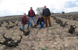 Imagen 2 de la bodega Epifanio Rivera