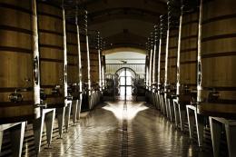 Imagen 2 de la bodega Finca Los Aljibes