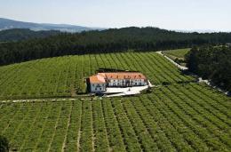 Imagen 1 de la bodega Granbazán