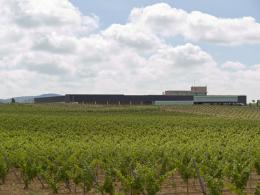 Imagen 1 de la bodega Habla