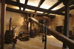 Imagen 2 de la bodega Javier Sanz Viticultor