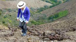 Imagen 2 de la bodega Jorge Ordo�ez