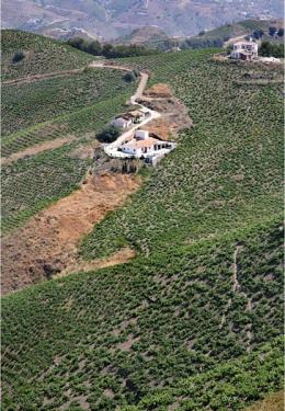 Imagen 3 de la bodega Jorge Ordo�ez