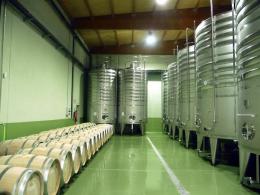 Imagen 2 de la bodega Jos� Pariente